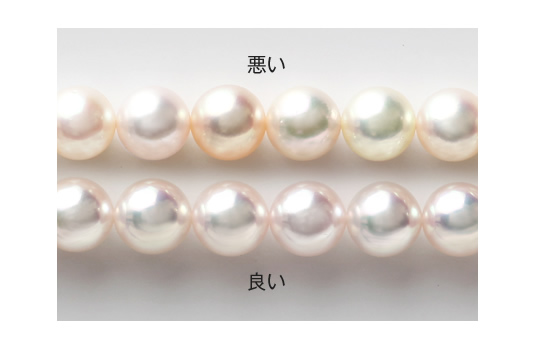 真珠の連相(れんそう)・イメージ