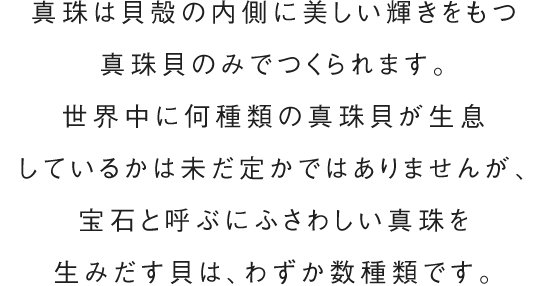 真珠は貝殻の内側に美しい輝きをもつ真珠貝のみでつくられます。世界中に何種類の真珠貝が生息しているかは未だ定かではありませんが、宝石と呼ぶにふさわしい真珠を生みだす貝は、わずか数種類です。 