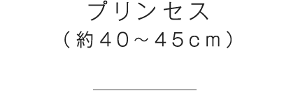 プリンセス(約40〜45cm)