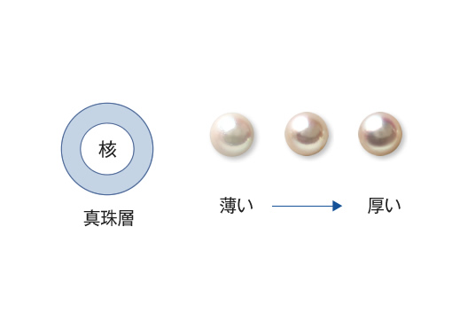 真珠の巻き・イメージ
