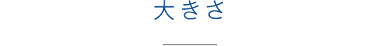 大きさ