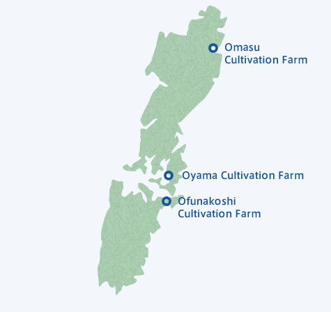 Cultivation Farms