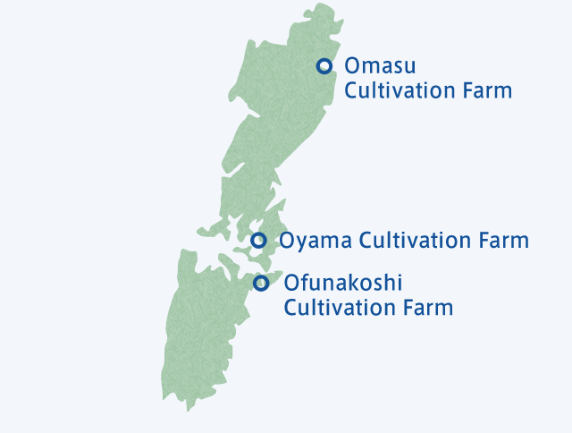 Cultivation Farms