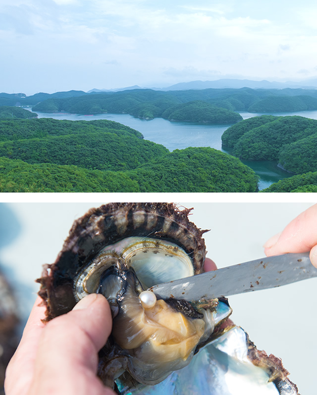 Landscape of Tsushima