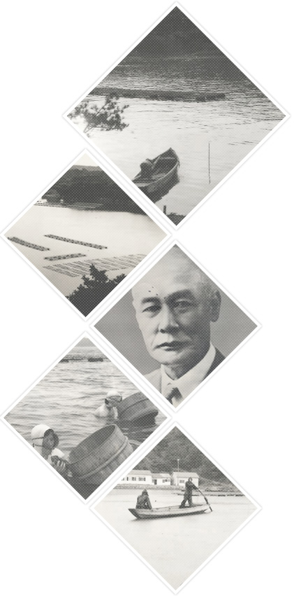 日本真珠養殖と北村真珠の歴史・イメージ1
