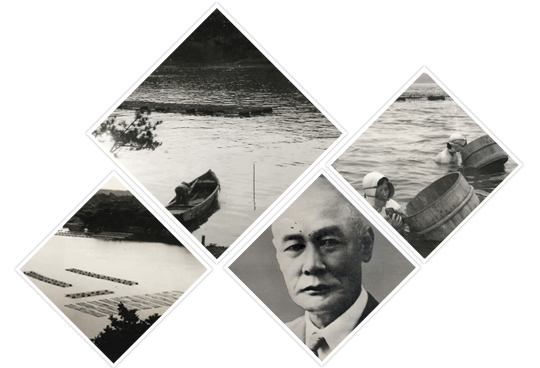 日本真珠養殖と北村真珠の歴史・イメージその1