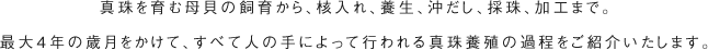 真珠を育む母貝の飼育から、核入れ、養生、沖だし、採珠、加工まで。最大4年の歳月をかけて、すべて人の手によって行われる真珠養殖の過程をご紹介いたします。