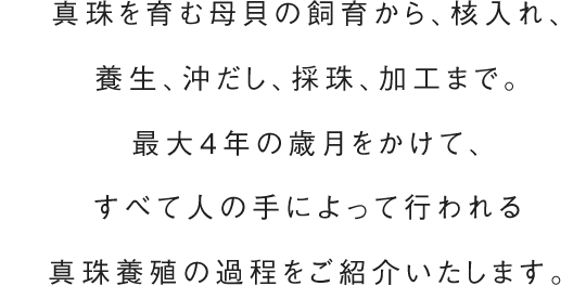 真珠を育む母貝の飼育から、核入れ、養生、沖だし、採珠、加工まで。最大4年の歳月をかけて、すべて人の手によって行われる真珠養殖の過程をご紹介いたします。