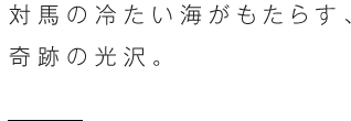 対馬の冷たい海がもたらす、奇跡の光沢。